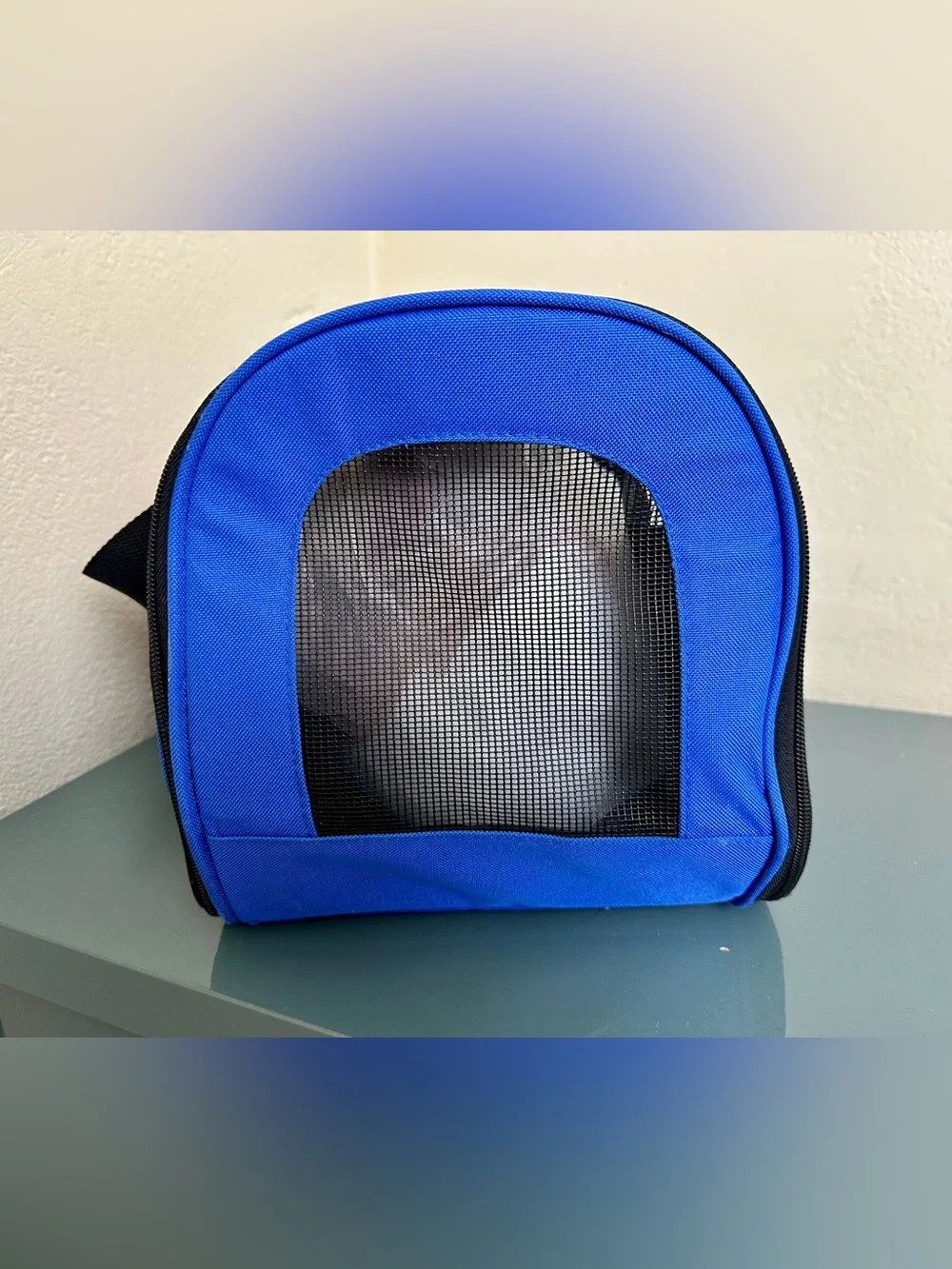 Southwest Official Pet Carrier Mesh Sides Carry On Carrier Bag  17x10x10 Ex Cond